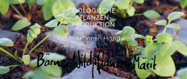 Event-Image for 'Stiftsgarten Stand am Bärner Wildplanzen Märit 2026'