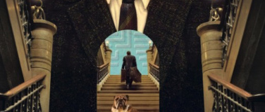 Event-Image for 'Willkommen um zu bleiben'