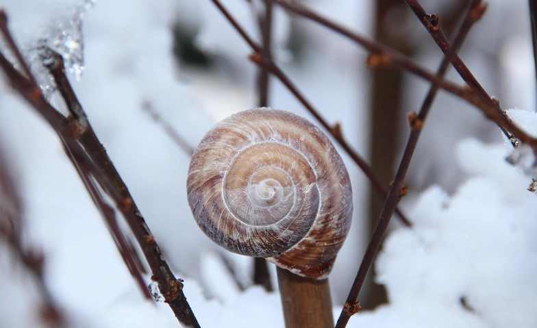 YOGA &amp; NATUR Tickets