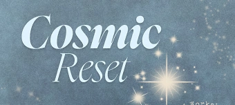 Event organiser of Cosmic Reset : Winter Workshop