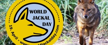 Event-Image for 'Webinar: Internationaler Tag der Schakale'