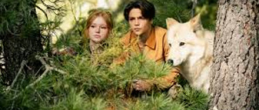 Event-Image for 'Woodwalkers 2'