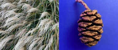 Event-Image for 'Workshop - Adventskranz binden #1'