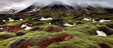 Event-Image for 'WUNDERWERK NATUR'