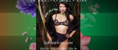 Event-Image for 'Spring Fever: Burlesque Show'