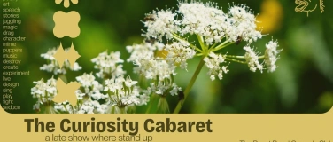 Event-Image for 'The Curiosity Cabaret - A Variety Show in English'