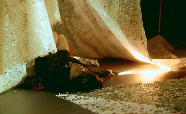 Verschwommener Mond Billets