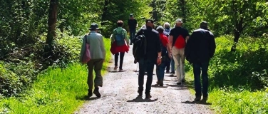 Event-Image for 'Zäme go Laufe 60+ Rüebisberg-Seeb Orange Tour 5,6 km'